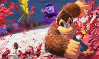 DK Bonanza