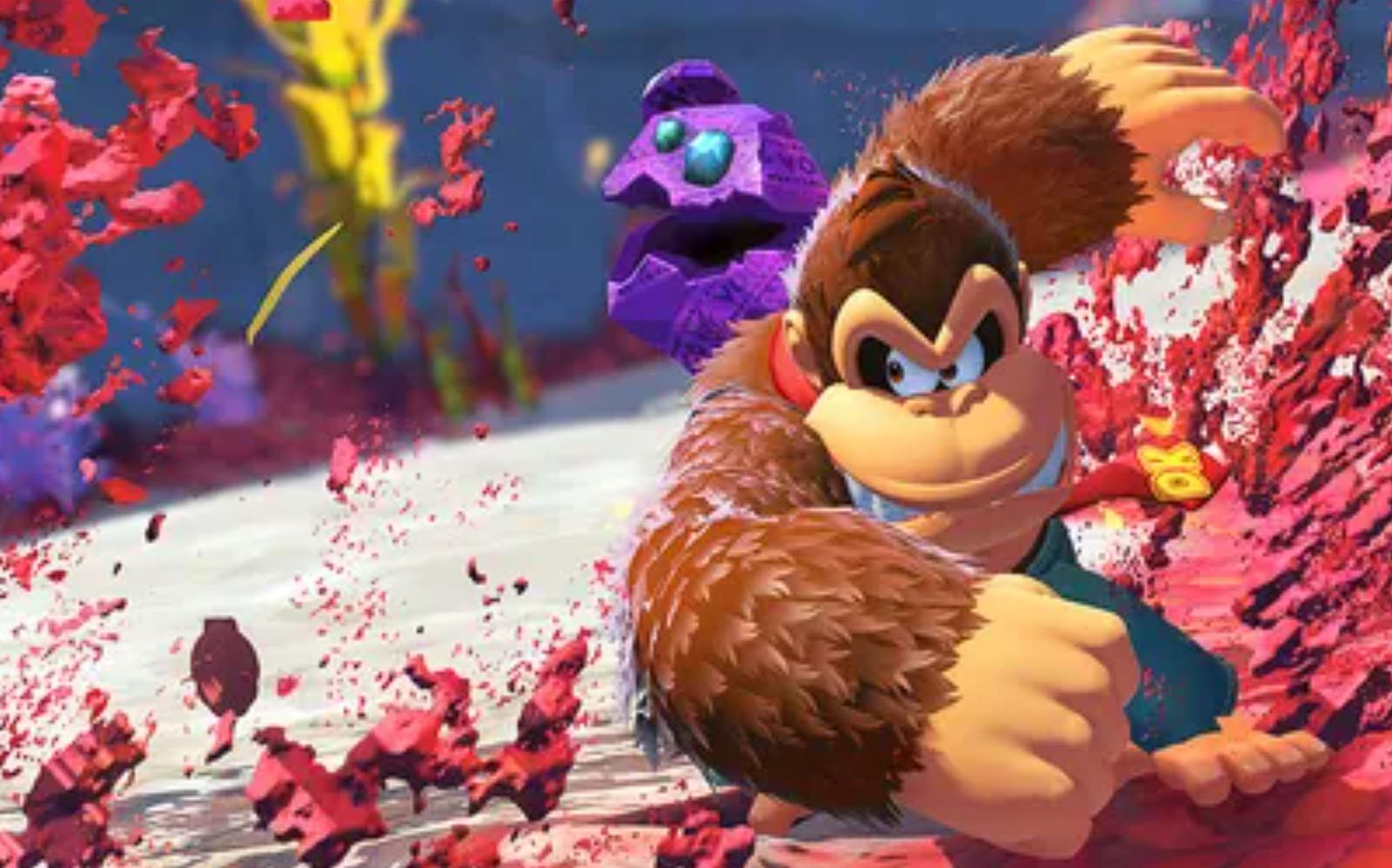 DK Bonanza