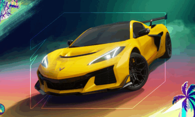Fornite Skin